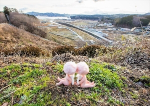 宮城県南三陸町のクレイドールの写真