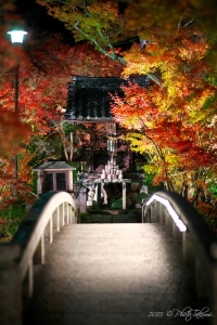 京都・永観堂の紅葉写真