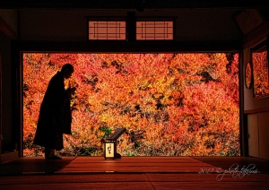 京都・福知山安国寺の紅葉写真