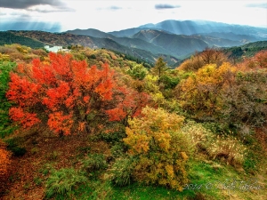 大阪・金剛山の紅葉写真