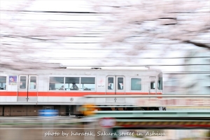 神戸・芦屋の阪神電車写真