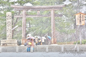 島根・出雲大社の鳥居写真