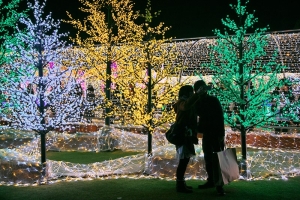 大阪城公園のイルミネーション写真