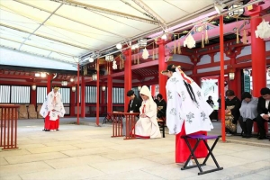 生田神社にて神前式中の新郎新婦