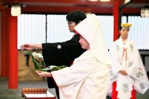 生田神社にて玉串奉納を行う新郎新婦