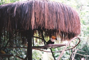 ブラジルの風景写真