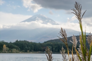 山梨・富士山の風景写真