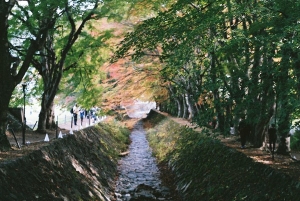 日本・山梨の風景写真