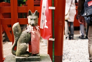 神奈川・佐助稲荷神社の風景写真