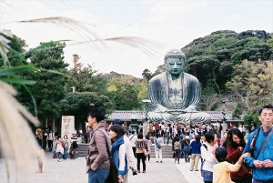 神奈川・鎌倉大仏の風景写真