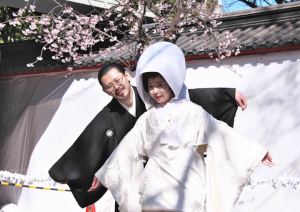 根津神社の当日スナップ写真