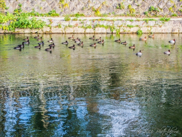 平安神宮,琵琶湖疏水